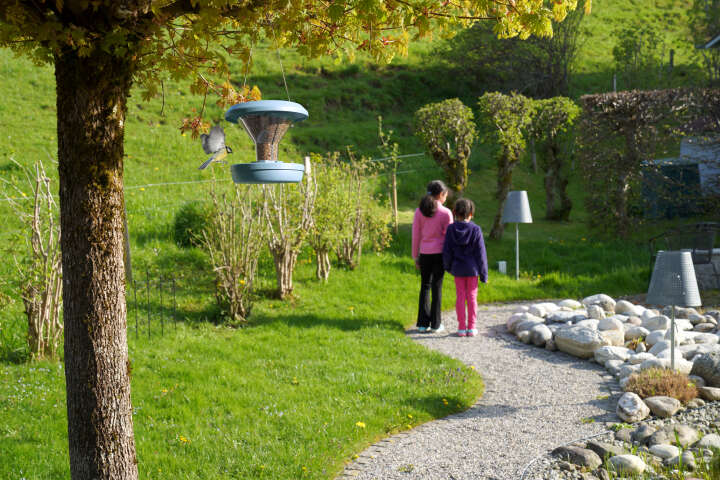 SWISSINNO Vogel-Futtersilo Davos